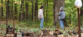 Enlarge photo 75
