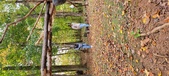Enlarge photo 78