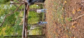 Enlarge photo 80