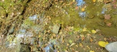 Enlarge photo 79