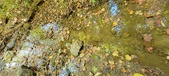 Enlarge photo 81