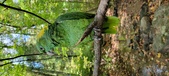 Enlarge photo 83