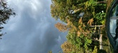 Enlarge photo 84