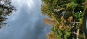 Enlarge photo 86