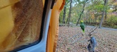 Enlarge photo 145