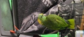 Enlarge photo 116