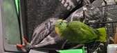 Enlarge photo 117