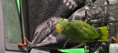 Enlarge photo 118