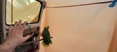 Enlarge photo 119