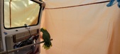 Enlarge photo 120