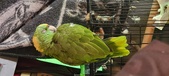 Enlarge photo 122