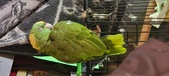 Enlarge photo 123