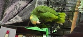 Enlarge photo 131