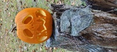 Enlarge photo 132