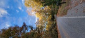 Enlarge photo 133