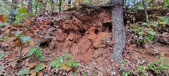 Enlarge photo 134