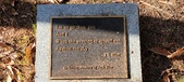 Enlarge photo 214