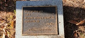 Enlarge photo 216