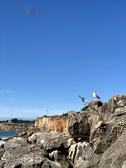 Enlarge photo 31