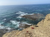 Enlarge photo 35