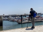 Enlarge photo 184