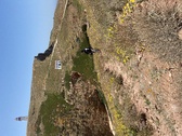 Enlarge photo 172