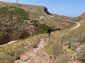 Enlarge photo 171