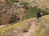 Enlarge photo 170