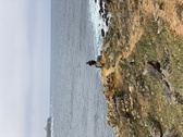 Enlarge photo 158