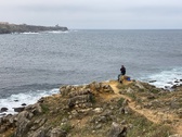 Enlarge photo 157