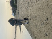 Enlarge photo 149