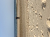 Enlarge photo 99