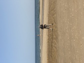 Enlarge photo 98