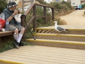 Enlarge photo 57