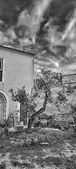 Enlarge photo 43