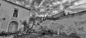 Enlarge photo 44
