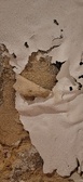 Enlarge photo 50