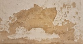 Enlarge photo 49