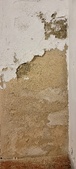 Enlarge photo 48