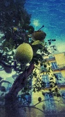 Enlarge photo 66