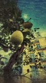 Enlarge photo 67