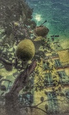 Enlarge photo 61