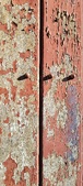 Enlarge photo 34