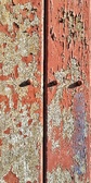 Enlarge photo 33