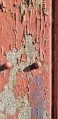 Enlarge photo 40