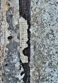 Enlarge photo 38