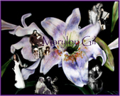 Enlarge photo 27