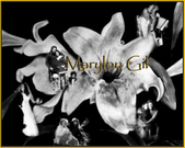 Enlarge photo 29