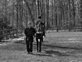 Enlarge photo 62