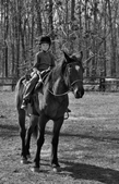 Enlarge photo 64